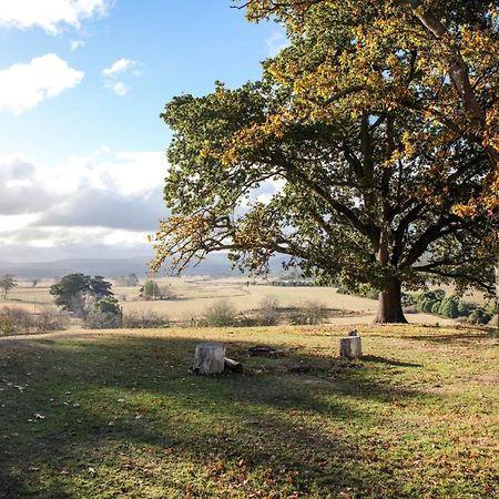 Twamley Farm Villa Buckland Buitenkant foto